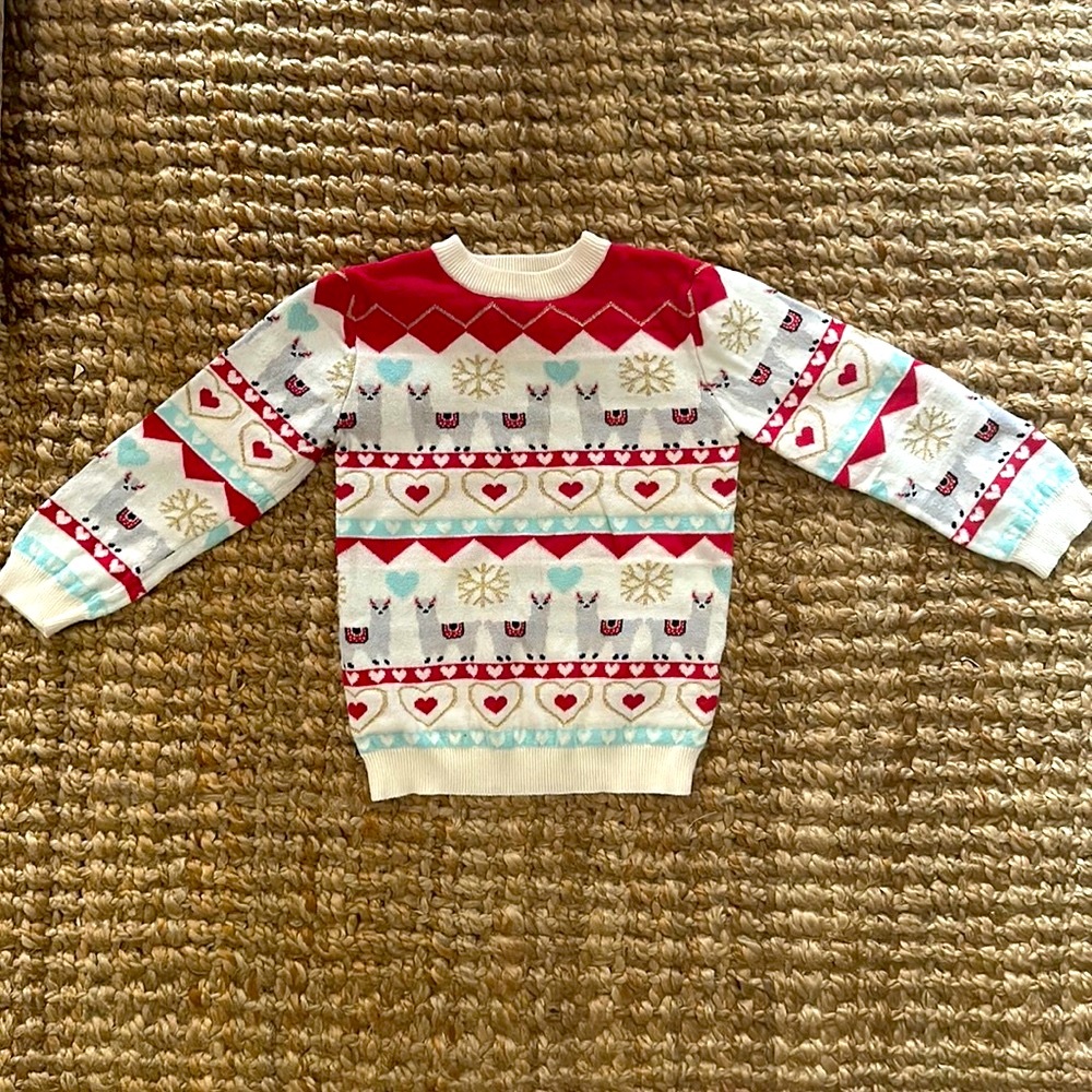 Andy and Evan winter sweater